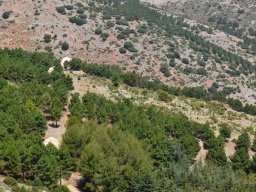 Valle de Leiva-Perdiz 2010